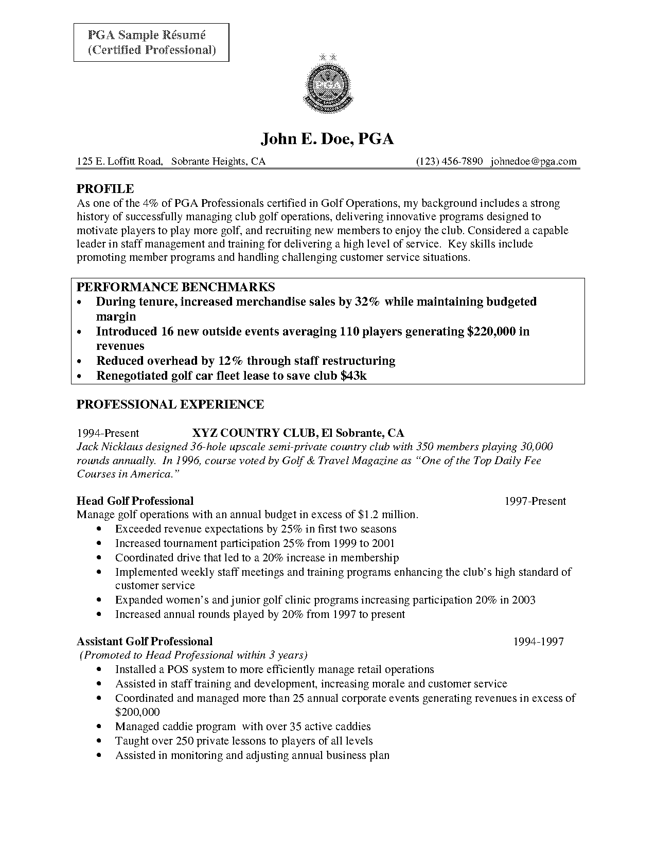 tenured professional modern simple resume