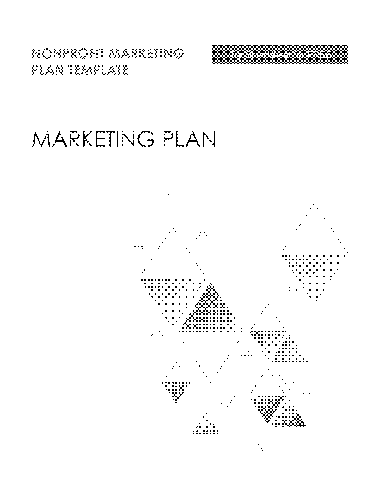 nonprofit organizations sample nonprofit marketing plan pdf