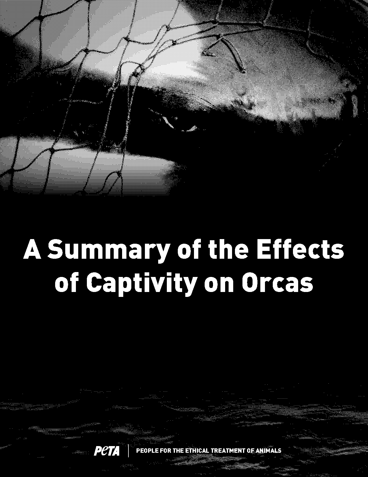 tilikum peer reviewed article