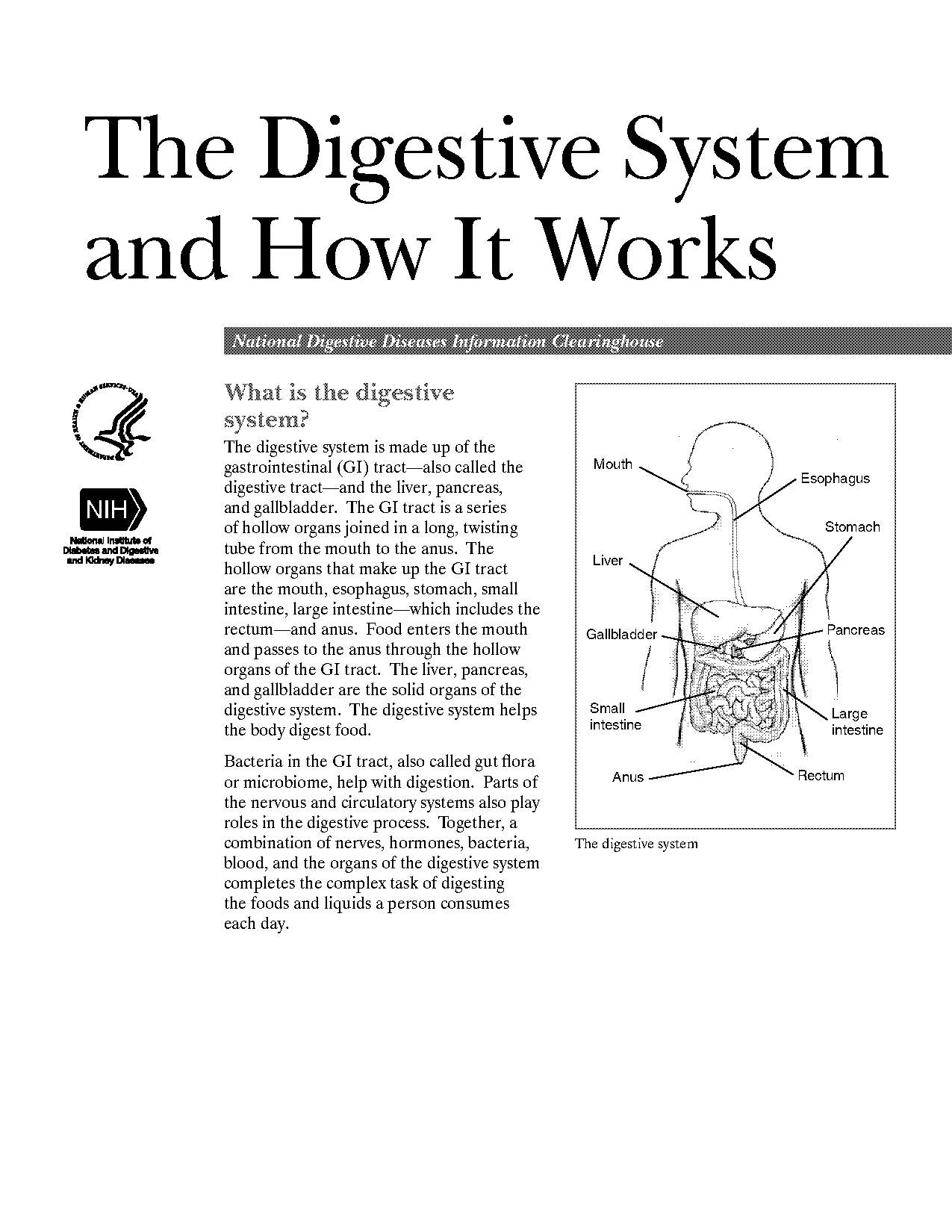 chemical name of vitamins pdf in english